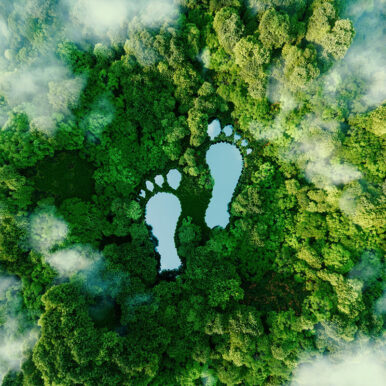 Green Footprint CS